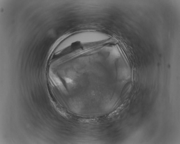 X0000083640147200703121728