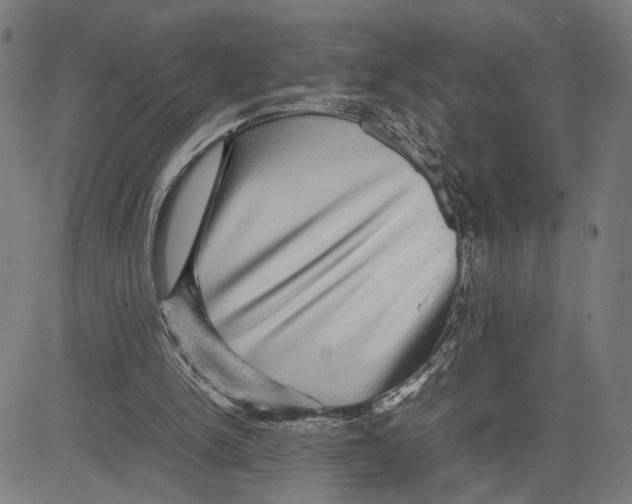 X0000083640150200703121728