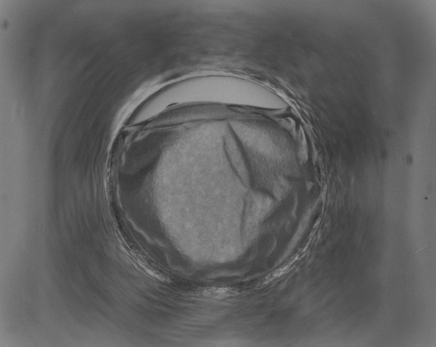 X0000083640152200703121728