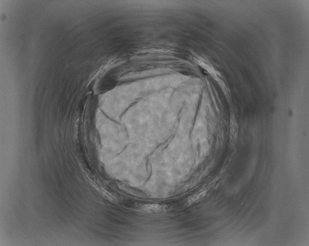 X0000083640153200703121728