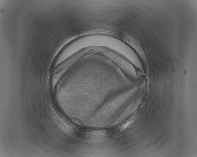 X0000083640156200703121728