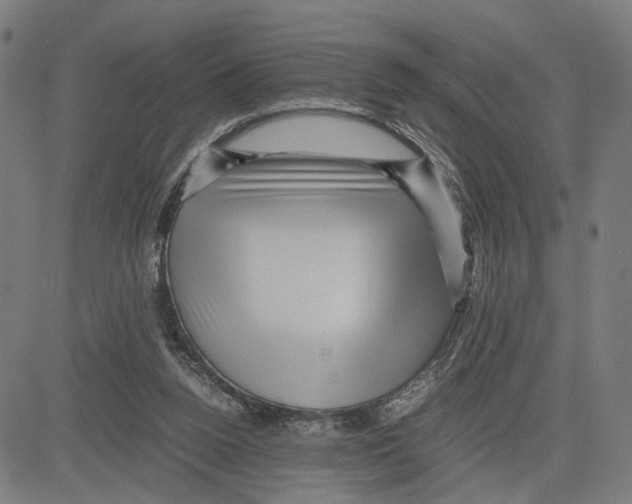 X0000083640160200703121728