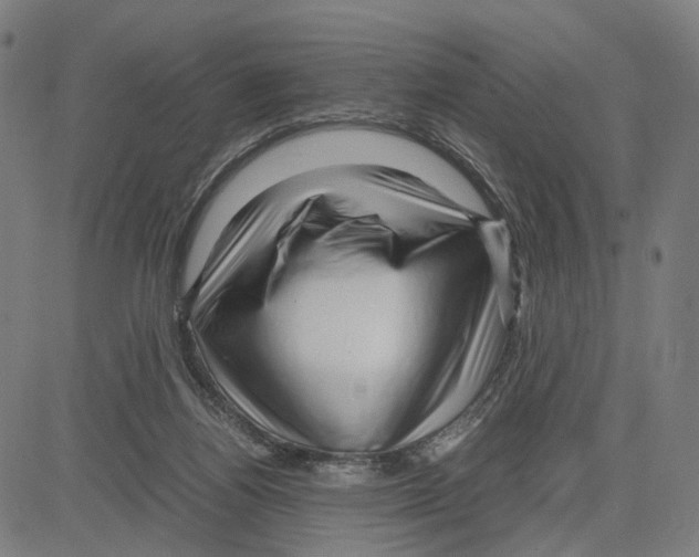 X0000083640164200703121729