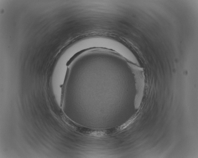 X0000083640168200703121729