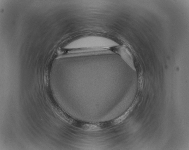 X0000083640170200703121729