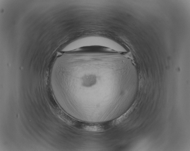 X0000083640171200703121729