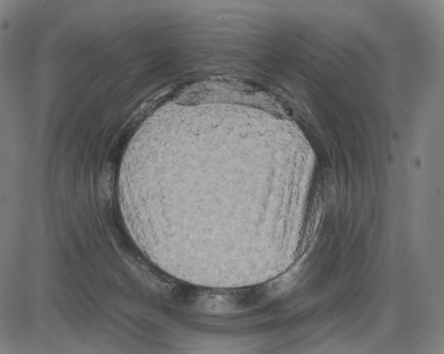 X0000083640174200703121729