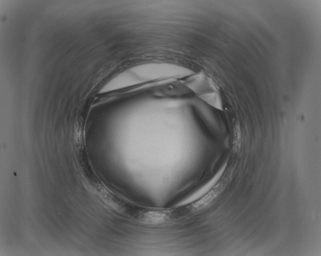 X0000083640176200703121729
