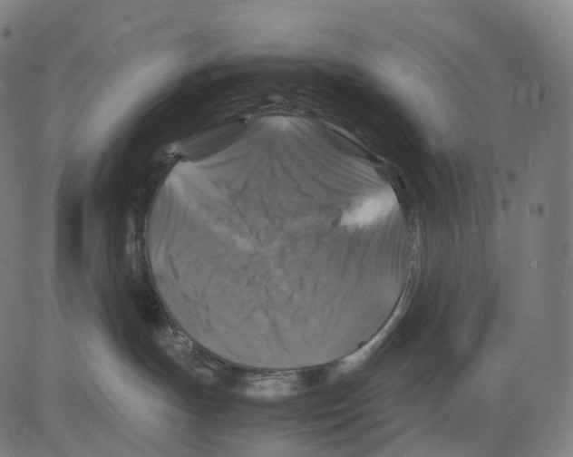 X0000083640191200703121729