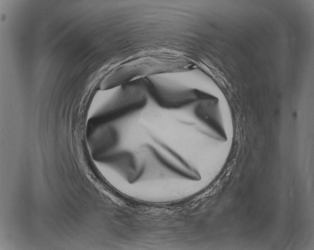 X0000083640193200703121728