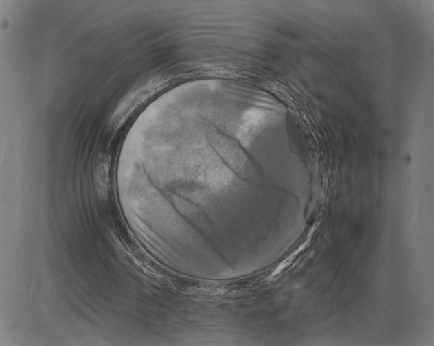 X0000083640194200703121728