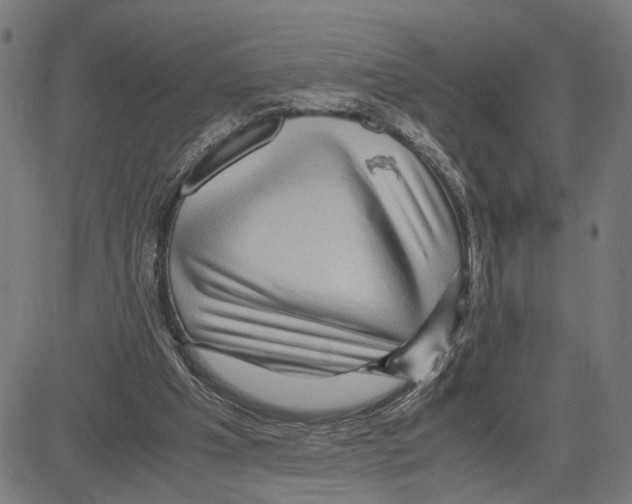 X0000083640201200703121728