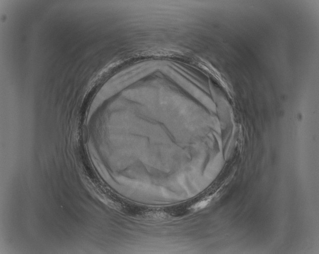 X0000083640203200703121728