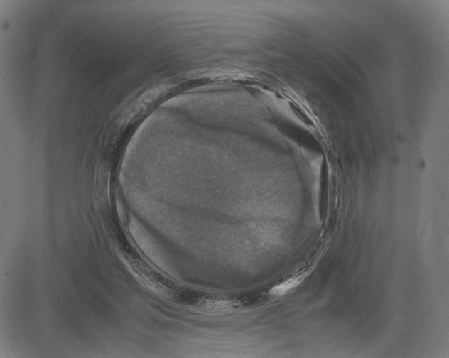 X0000083640205200703121728