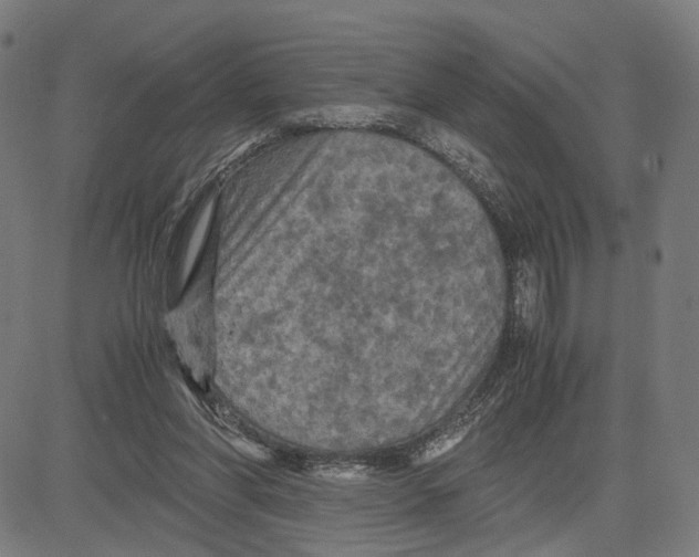 X0000083640206200703121728