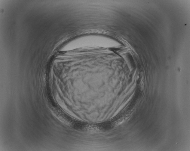 X0000083640207200703121728