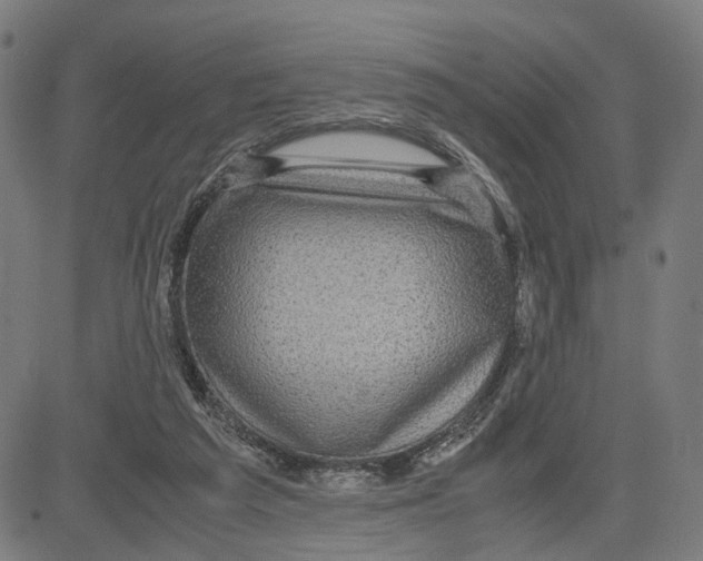 X0000083640209200703121728