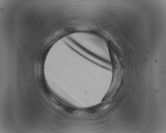 X0000083640211200703121728