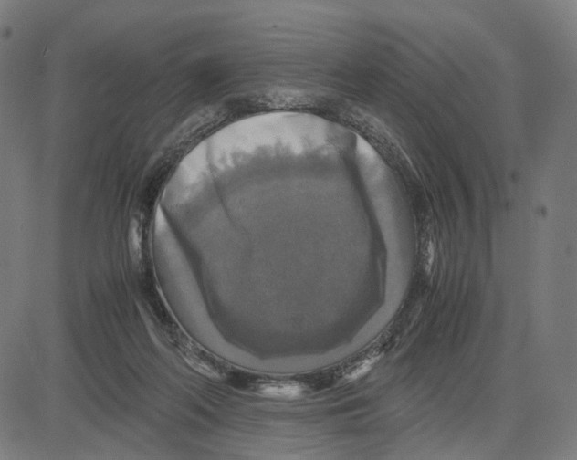 X0000083640214200703121728