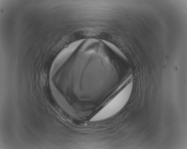 X0000083640227200703121728