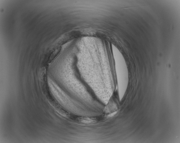 X0000083640229200703121728