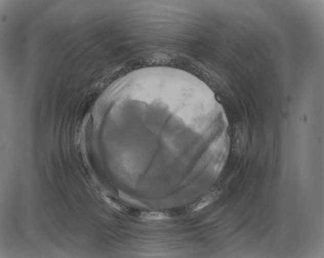 X0000083640230200703121728