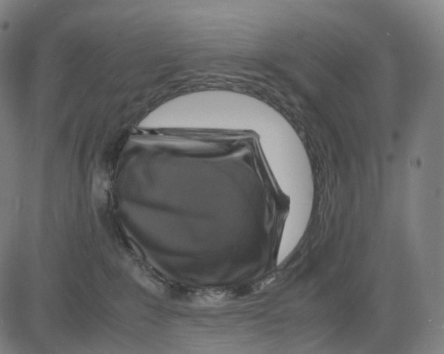 X0000083640235200703121728