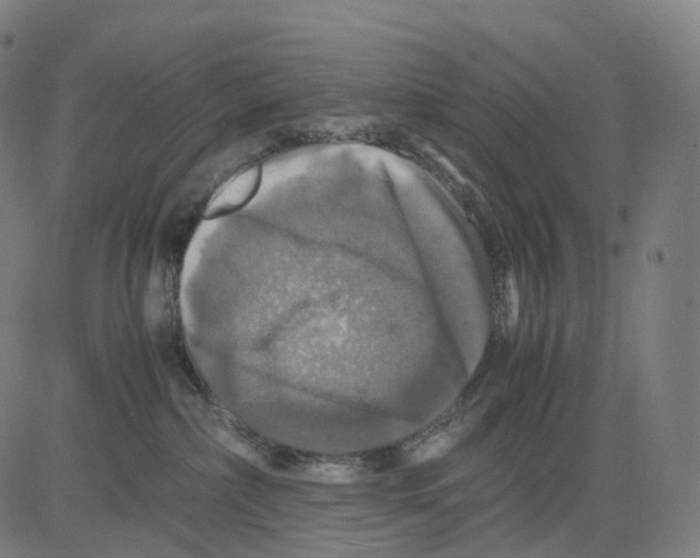 X0000083640236200703121727