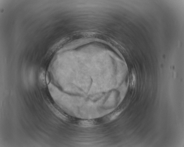 X0000083640238200703121727