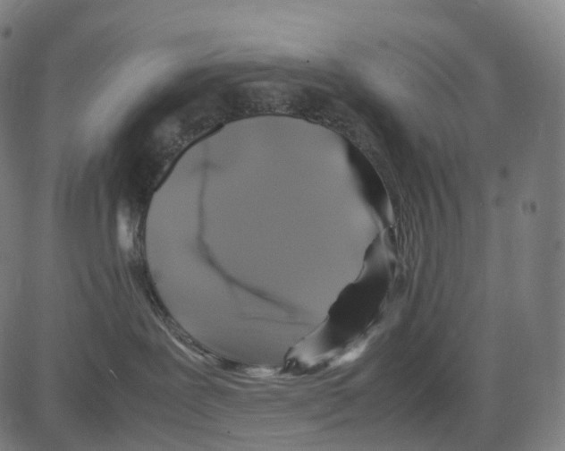 X0000083640239200703121727