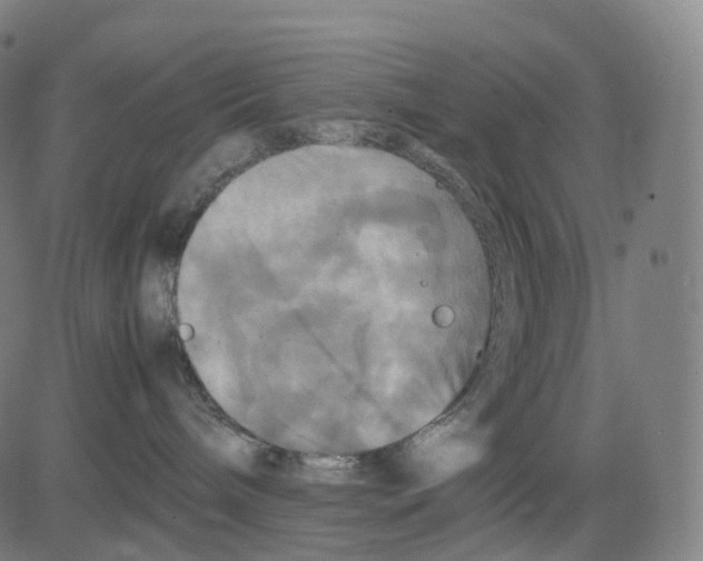 X0000083640240200703121727