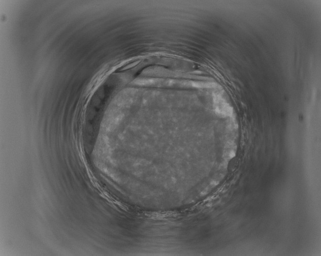 X0000083640241200703121727