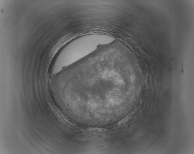 X0000083640242200703121727