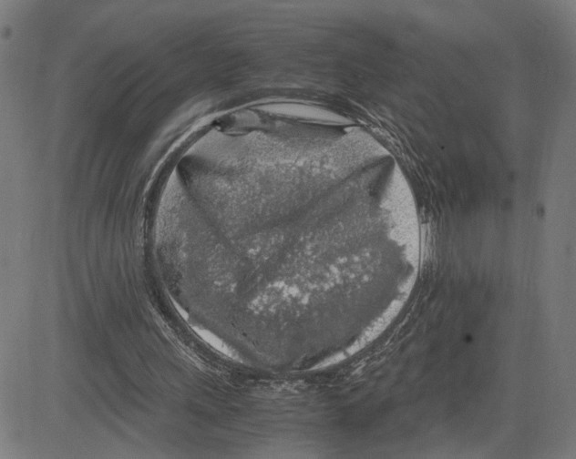 X0000083640243200703121727