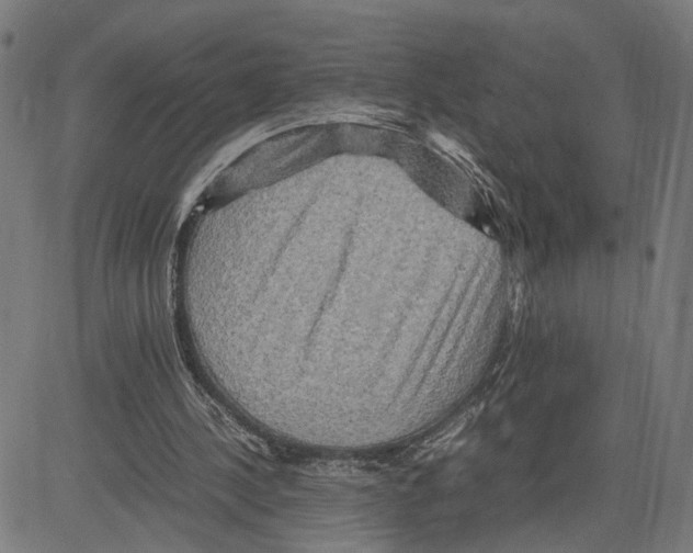 X0000083640244200703121727