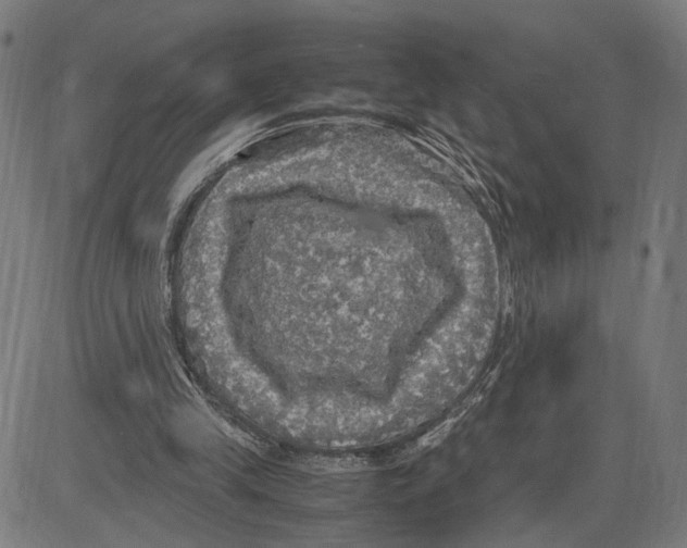 X0000083640245200703121727