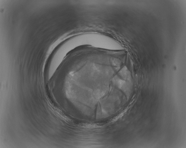 X0000083640246200703121727