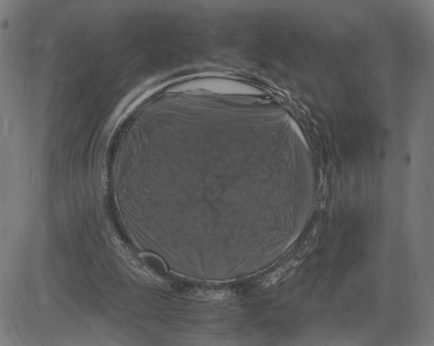 X0000083640247200703121727