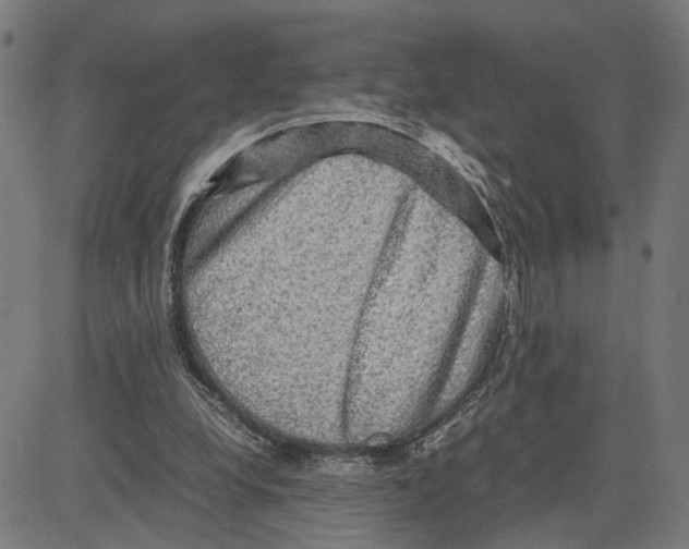 X0000083640248200703121727