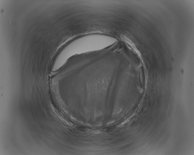 X0000083640249200703121727