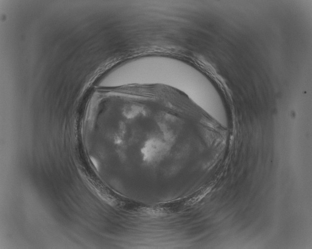 X0000083640250200703121727