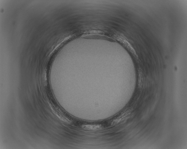 X0000083640251200703121727