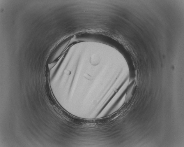 X0000083640252200703121727