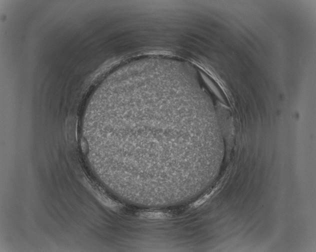 X0000083640253200703121727