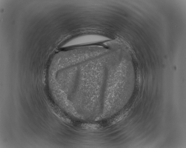 X0000083640255200703121727