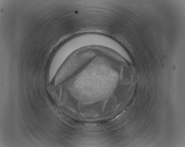 X0000083640256200703121727