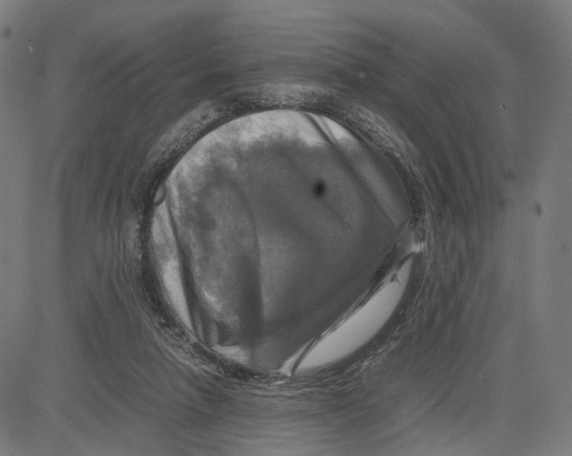 X0000083640258200703121727