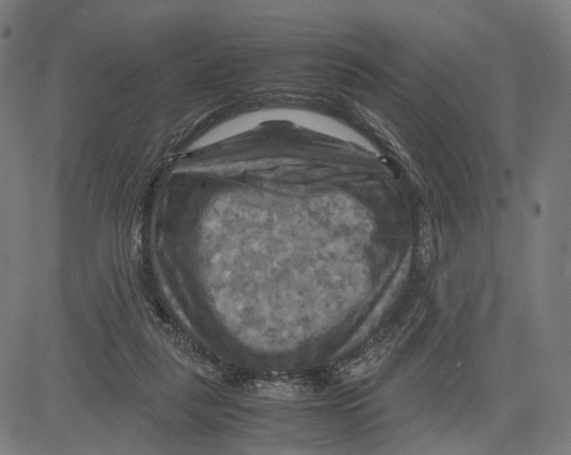 X0000083640259200703121727