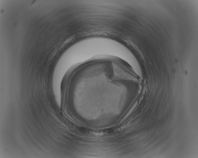 X0000083640260200703121727