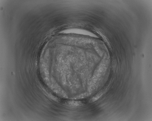 X0000083640261200703121727